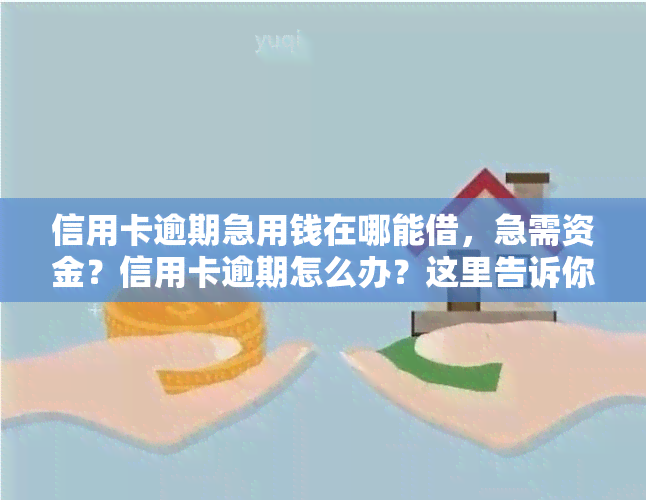 信用卡逾期急用钱在哪能借，急需资金？信用卡逾期怎么办？这里告诉你哪里可以借款！