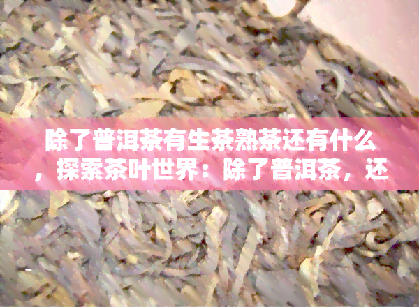 除了普洱茶有生茶熟茶还有什么，探索茶叶世界：除了普洱茶，还有哪些茶叶有生茶和熟茶之分？