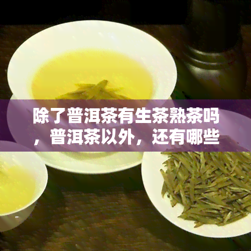 除了普洱茶有生茶熟茶吗，普洱茶以外，还有哪些茶叶品种存在生茶和熟茶之分？