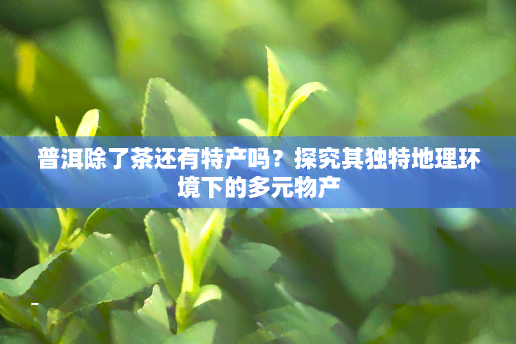 普洱除了茶还有特产吗？探究其独特地理环境下的多元物产