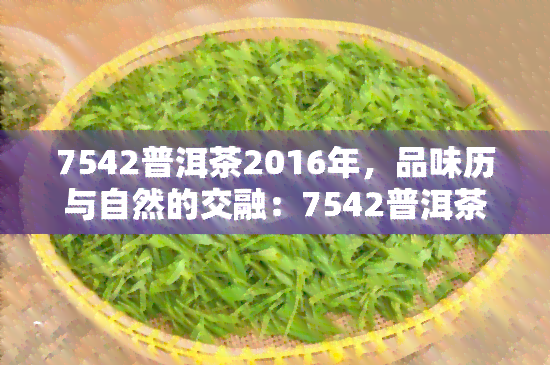 7542普洱茶2016年，品味历与自然的交融：7542普洱茶2016年