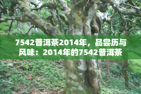 7542普洱茶2014年，品尝历与风味：2014年的7542普洱茶