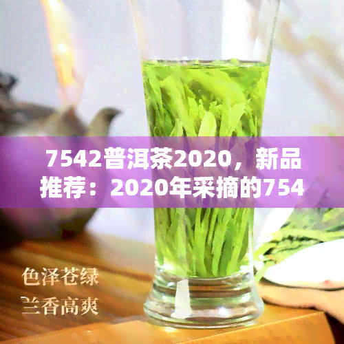 7542普洱茶2020，新品推荐：2020年采摘的7542普洱茶，口感醇厚回味悠长！