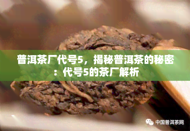 普洱茶厂代号5，揭秘普洱茶的秘密：代号5的茶厂解析