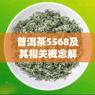 普洱茶5568及其相关概念解析：5588、5518、5541与干仓湿度的关系