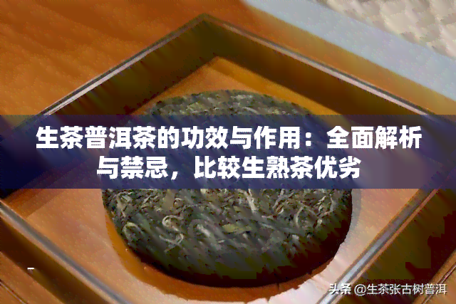 生茶普洱茶的功效与作用：全面解析与禁忌，比较生熟茶优劣