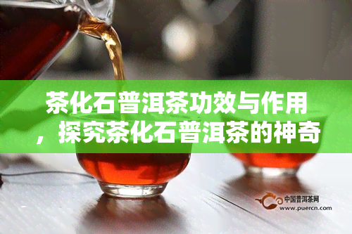 茶化石普洱茶功效与作用，探究茶化石普洱茶的神奇功效与作用