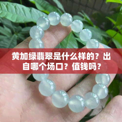 黄加绿翡翠是什么样的？出自哪个场口？值钱吗？