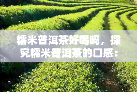 糯米普洱茶好喝吗，探究糯米普洱茶的口感：你真的会喜欢吗？