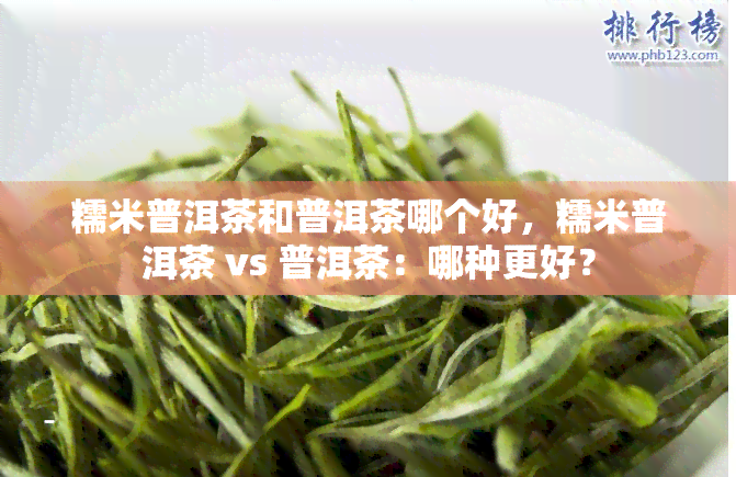 糯米普洱茶和普洱茶哪个好，糯米普洱茶 vs 普洱茶：哪种更好？