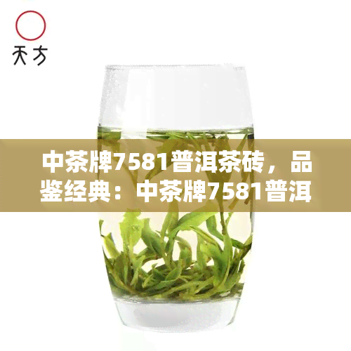 中茶牌7581普洱茶砖，品鉴经典：中茶牌7581普洱茶砖的魅力与口感