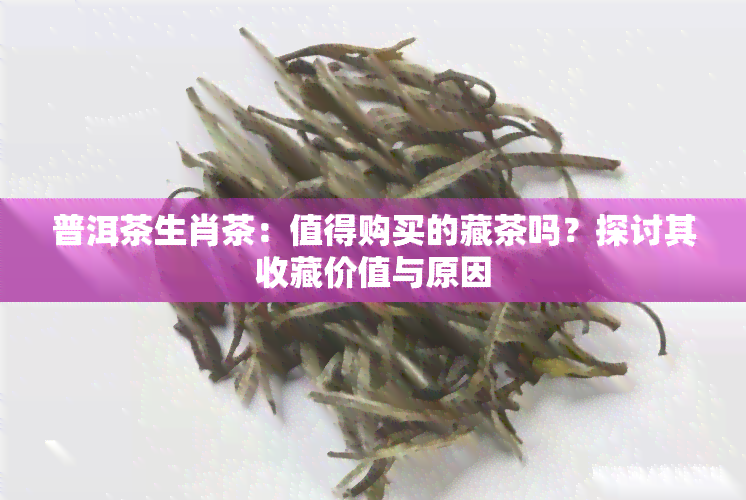 普洱茶生肖茶：值得购买的藏茶吗？探讨其收藏价值与原因