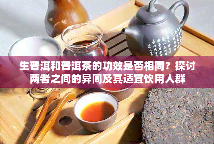 生普洱和普洱茶的功效是否相同？探讨两者之间的异同及其适宜饮用人群