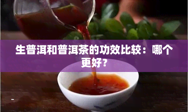 生普洱和普洱茶的功效比较：哪个更好？