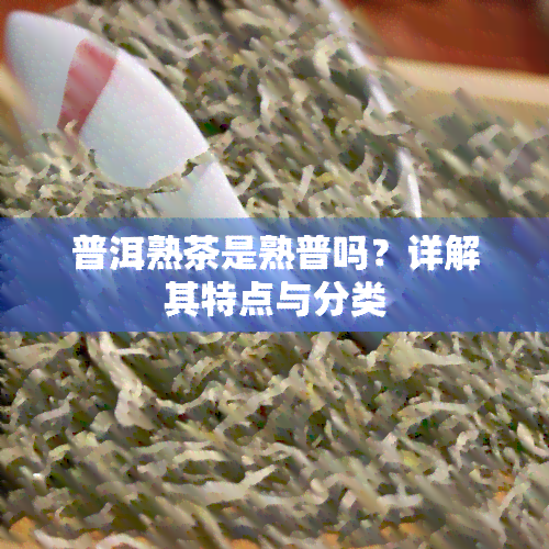 普洱熟茶是熟普吗？详解其特点与分类