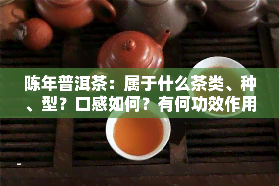 陈年普洱茶：属于什么茶类、种、型？口感如何？有何功效作用？