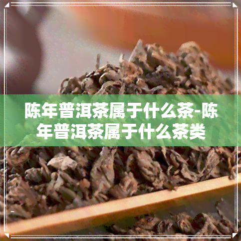 陈年普洱茶属于什么茶-陈年普洱茶属于什么茶类