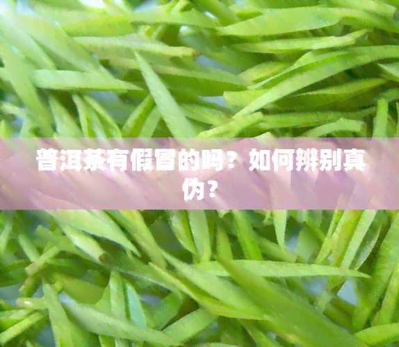 普洱茶有假冒的吗？如何辨别真伪？