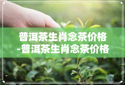 普洱茶生肖念茶价格-普洱茶生肖念茶价格表