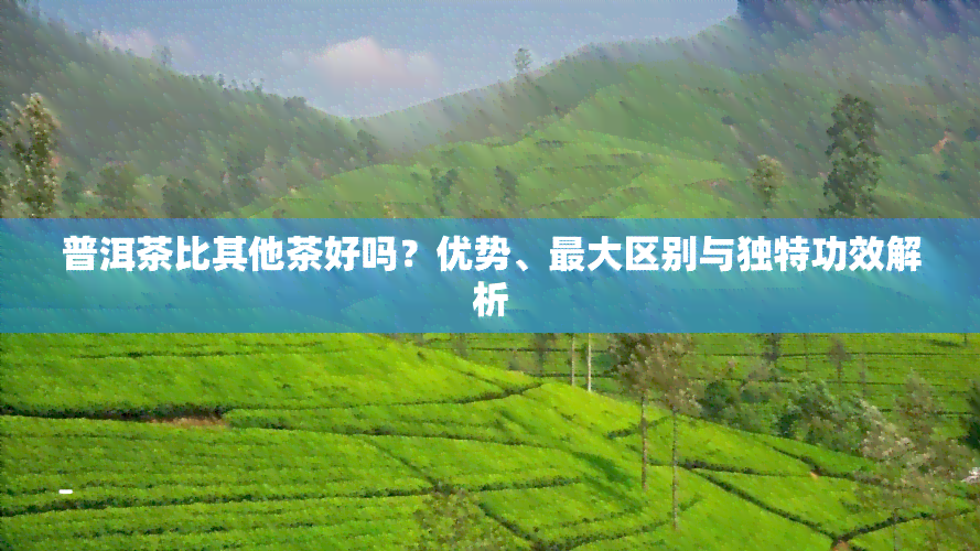 普洱茶比其他茶好吗？优势、更大区别与独特功效解析