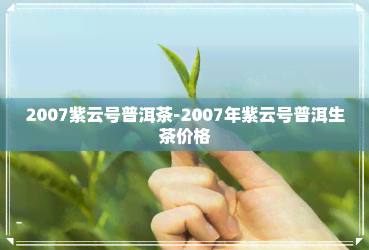 2007紫云号普洱茶-2007年紫云号普洱生茶价格