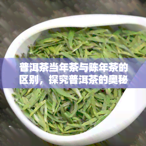 普洱茶当年茶与陈年茶的区别，探究普洱茶的奥秘：当年茶与陈年茶的异同之处