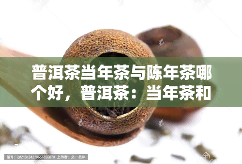 普洱茶当年茶与陈年茶哪个好，普洱茶：当年茶和陈年茶，哪个更胜一筹？