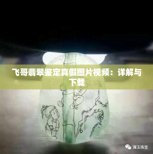 飞哥翡翠鉴定真假图片视频：详解与下载