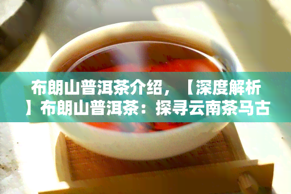 布朗山普洱茶介绍，【深度解析】布朗山普洱茶：探寻云南茶马古道上的神秘瑰宝