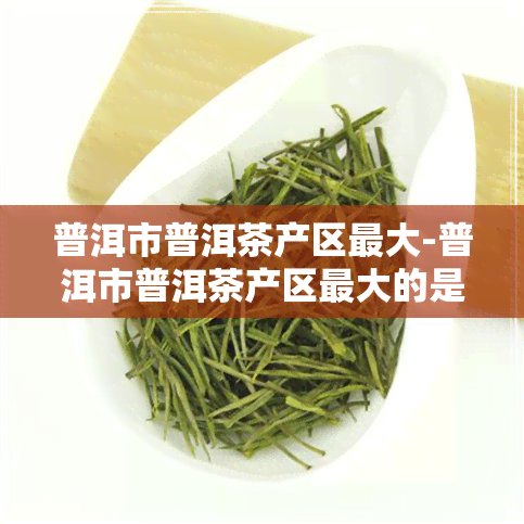 普洱市普洱茶产区更大-普洱市普洱茶产区更大的是哪里