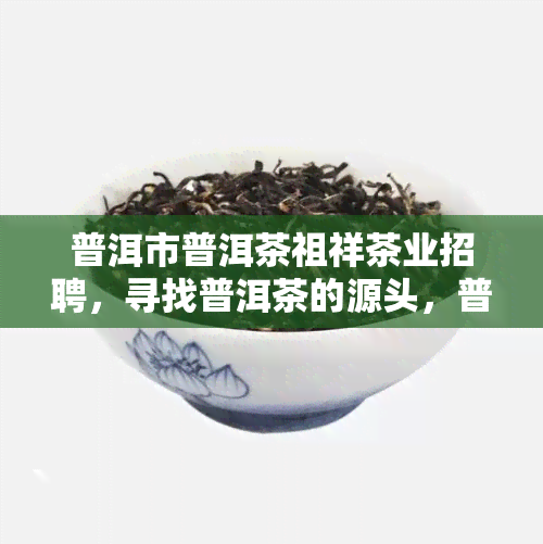 普洱市普洱茶祖祥茶业招聘，寻找普洱茶的源头，普洱市普洱茶祖祥茶业诚聘英才