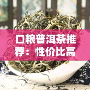 口粮普洱茶推荐：性价比高、价格适中的与产品