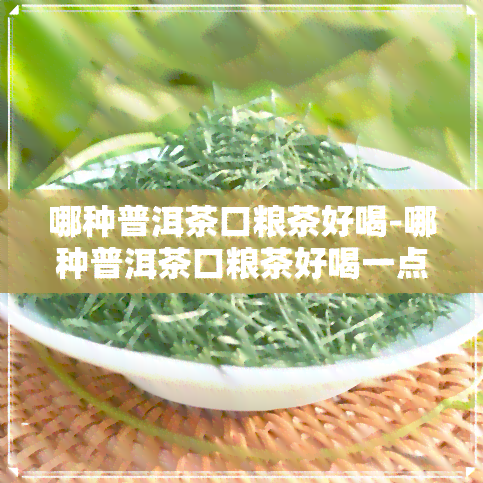 哪种普洱茶口粮茶好喝-哪种普洱茶口粮茶好喝一点