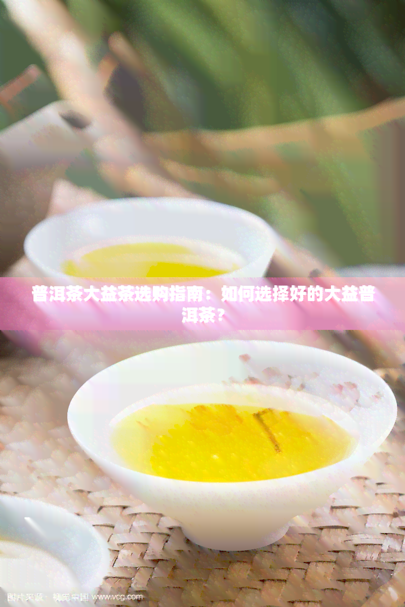 普洱茶大益茶选购指南：如何选择好的大益普洱茶？