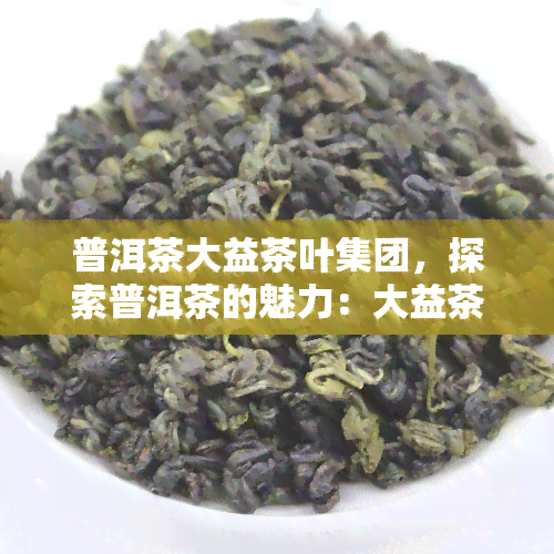 普洱茶大益茶叶集团，探索普洱茶的魅力：大益茶叶集团的引领作用