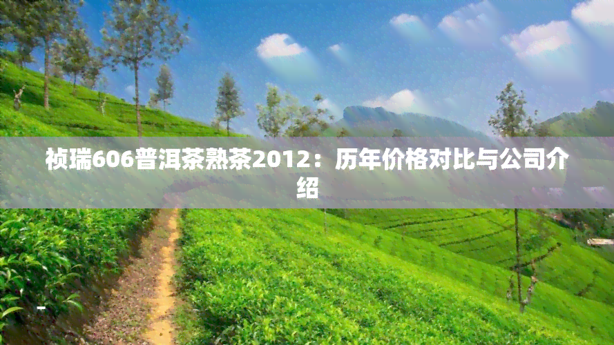 祯瑞606普洱茶熟茶2012：历年价格对比与公司介绍