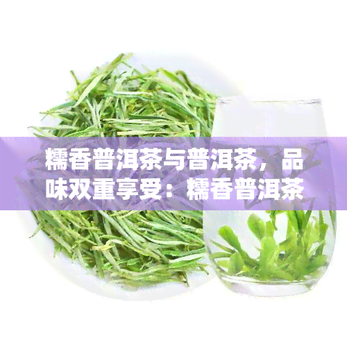 糯香普洱茶与普洱茶，品味双重享受：糯香普洱茶与传统普洱茶的对比