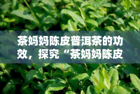 茶妈妈陈皮普洱茶的功效，探究“茶妈妈陈皮普洱茶”的神奇功效