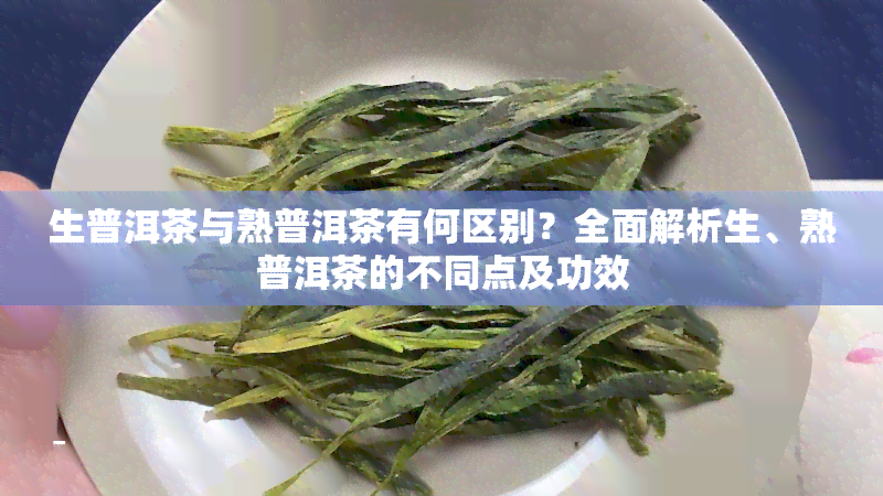 生普洱茶与熟普洱茶有何区别？全面解析生、熟普洱茶的不同点及功效