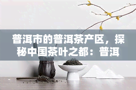 普洱市的普洱茶产区，探秘中国茶叶之都：普洱市普洱茶产区的魅力与风情