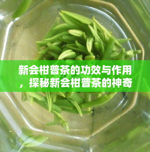 新会柑普茶的功效与作用，探秘新会柑普茶的神奇功效与作用