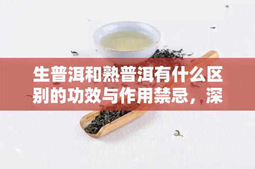 生普洱和熟普洱有什么区别的功效与作用禁忌，深度解析：生普洱与熟普洱的差别，功效、作用及使用禁忌