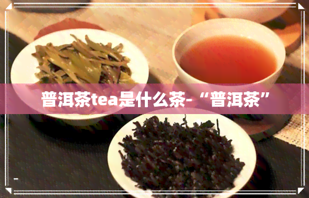 普洱茶tea是什么茶-“普洱茶”