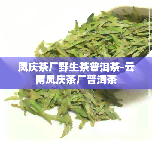 凤庆茶厂野生茶普洱茶-云南凤庆茶厂普洱茶