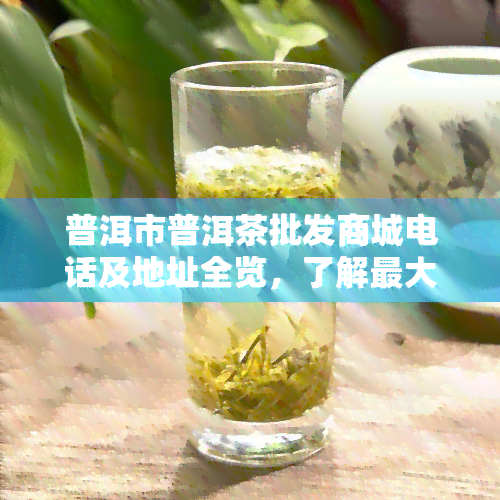 普洱市普洱茶批发商城电话及地址全览，了解更大茶叶场信息