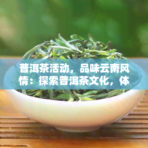 普洱茶活动，品味云南风情：探索普洱茶文化，体验独特活动