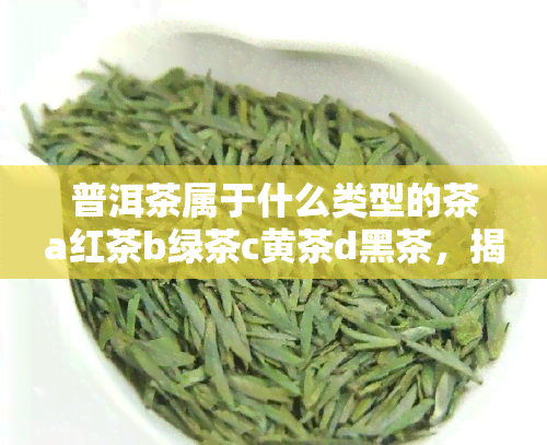 普洱茶属于什么类型的茶a红茶b绿茶c黄茶d黑茶，揭秘茶叶种类：普洱茶属于哪一类？