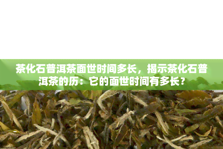 茶化石普洱茶面世时间多长，揭示茶化石普洱茶的历：它的面世时间有多长？