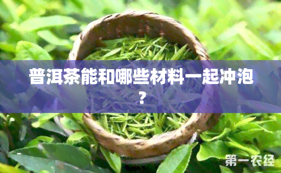 普洱茶能和哪些材料一起冲泡？