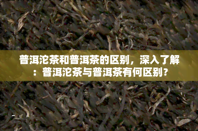 普洱沱茶和普洱茶的区别，深入了解：普洱沱茶与普洱茶有何区别？